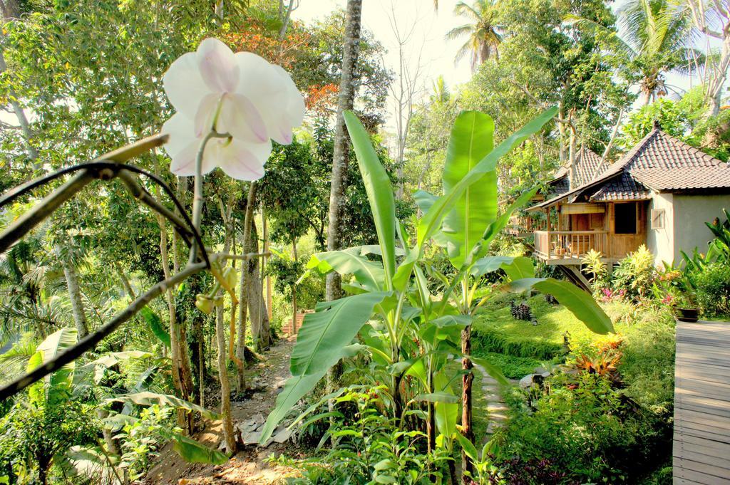 Village de vacances Prashanti Bali