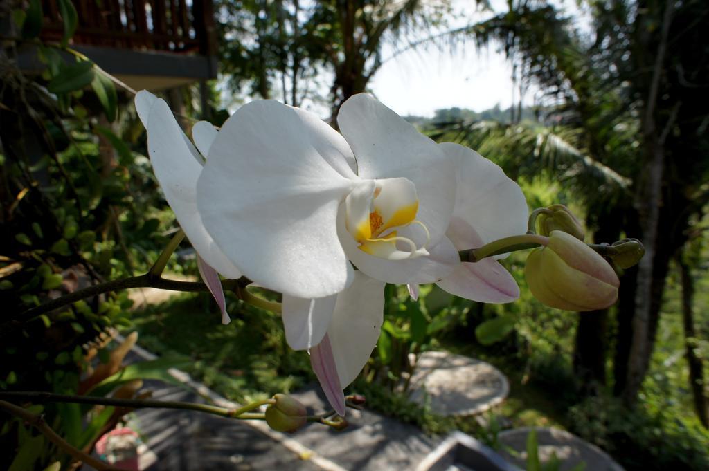 Village de vacances Prashanti Bali 2*