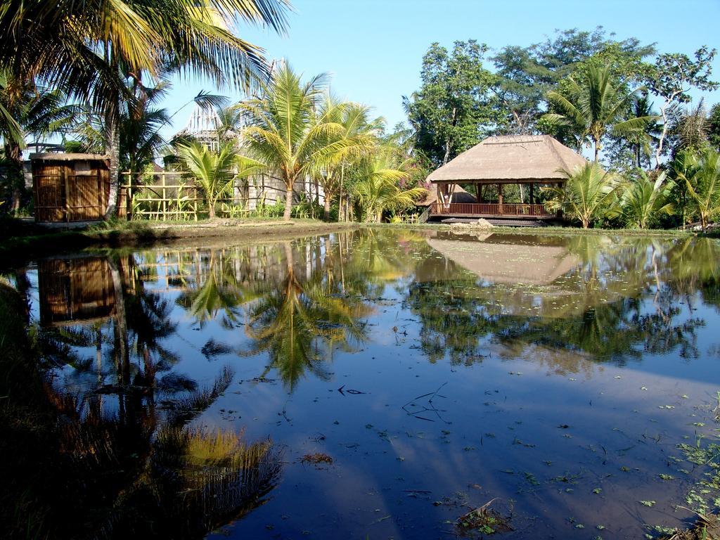 Prashanti Bali